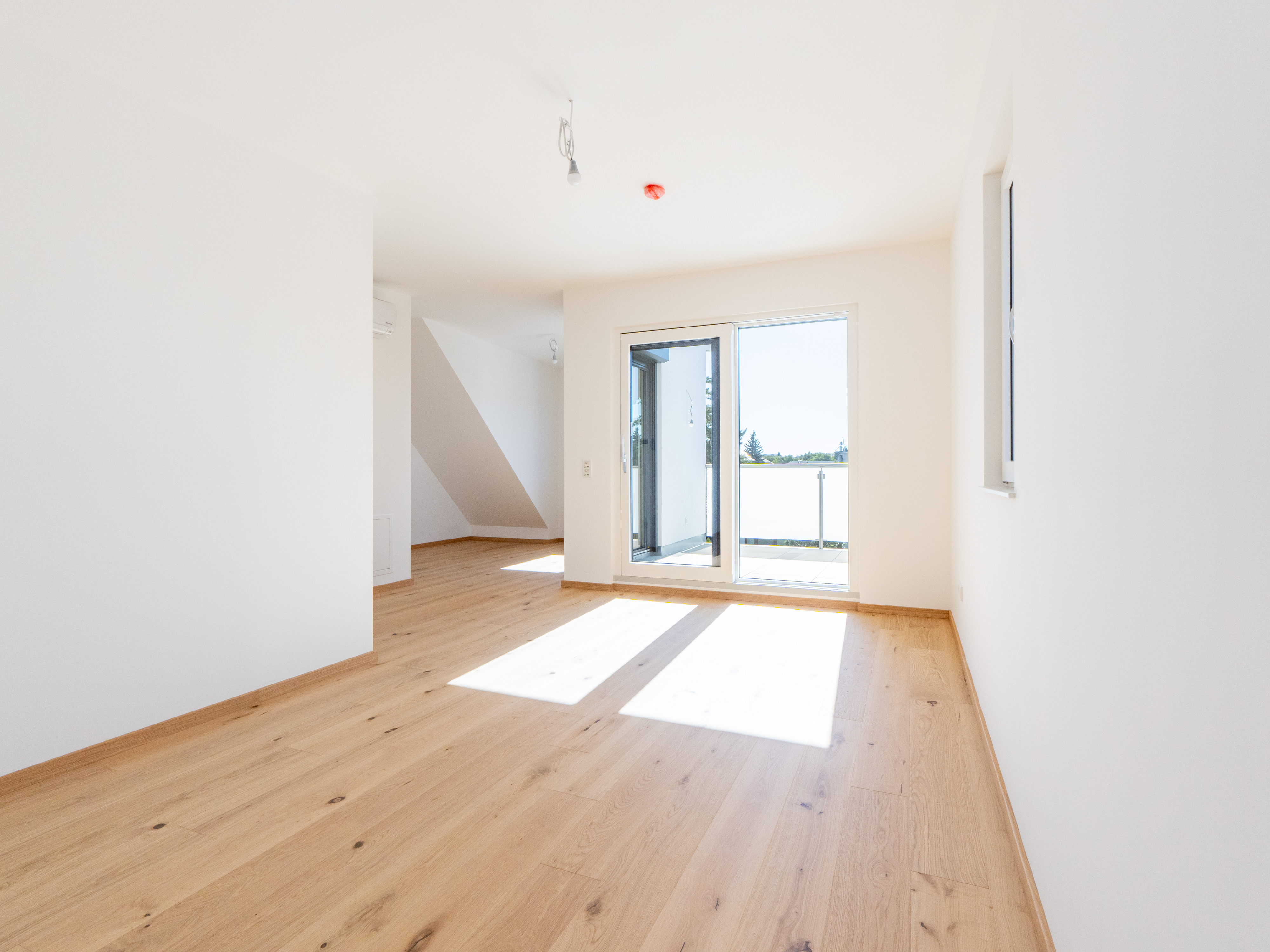 Arminenstrasse-21_p002845