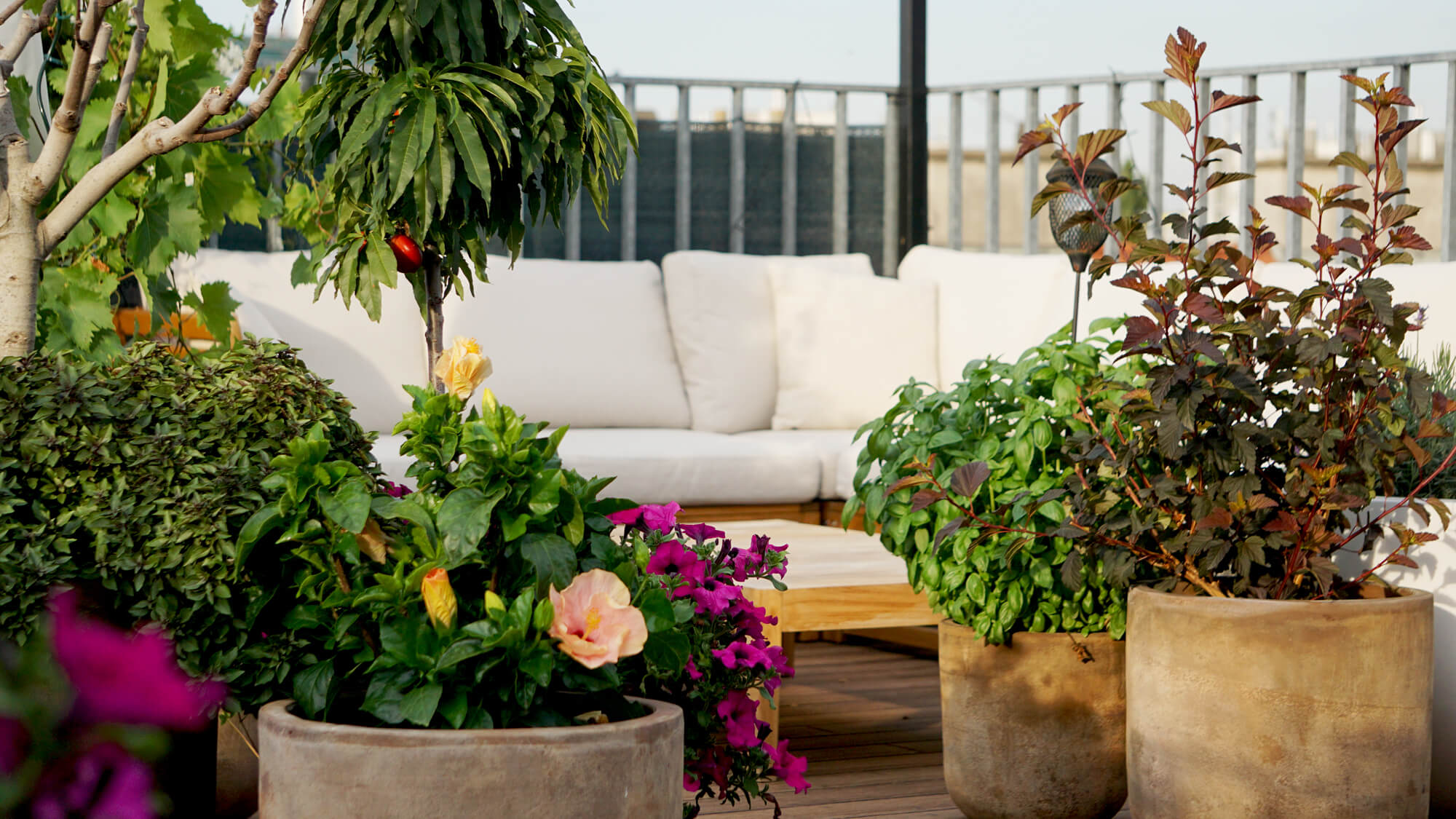 Starkl-Gartenplanung-bluehende-Terrasse (17).jpg